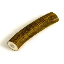 Antler Piece - Roll